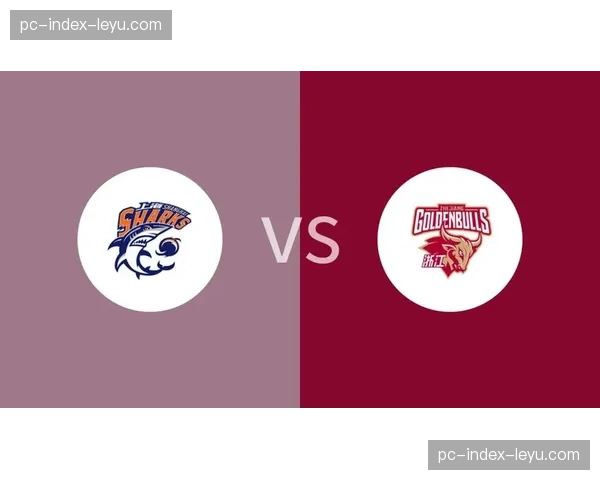 上海久事加时惜败浙江稠州金租,系列赛1-2落后 上海久事加时惜败浙江稠州金租,系列赛1-2落后