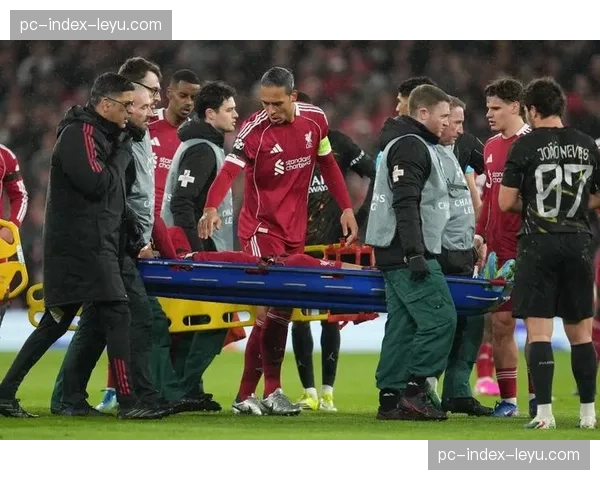 埃基蒂克跟腱断裂重伤，将缺席世界杯